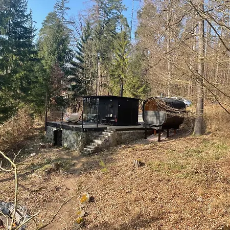 Tinyhouse Veranda Vakantiehuis